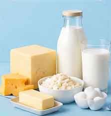Dairy and Bakeries